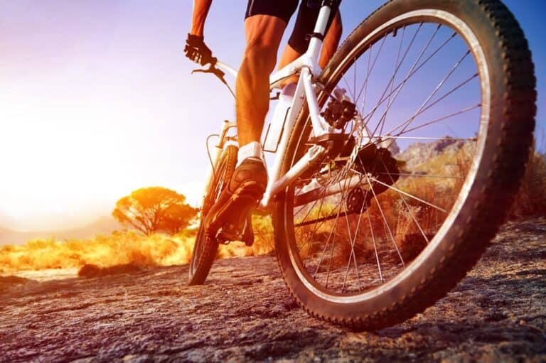 What Are the Features of a Premium Mountain Bike?