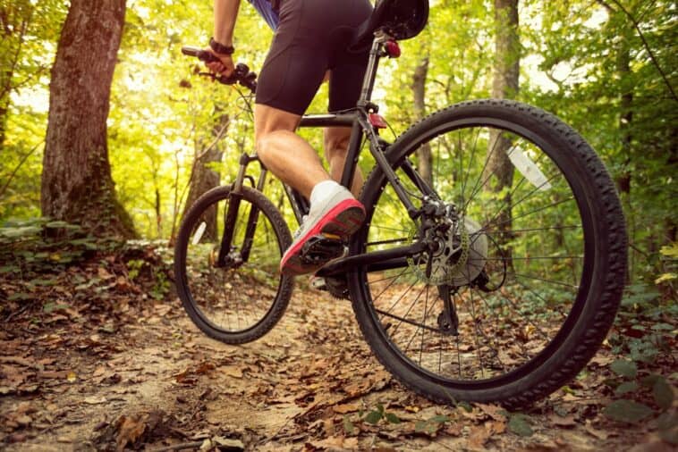 Buying a Dual Suspension Mountain Bike (Everything to Know) Cycle Baron