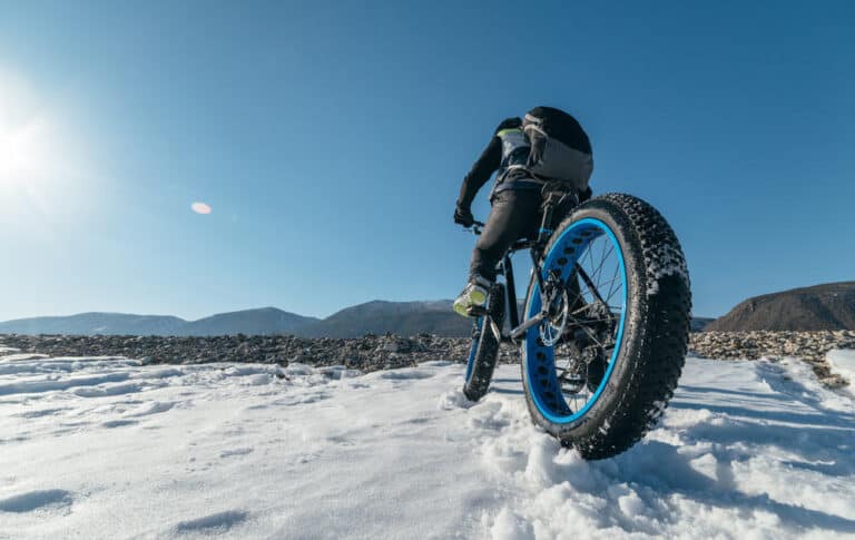Fat Tire Bike vs Mountain Bike