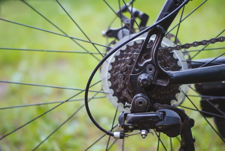 Mountain bike rear wheel with brake.