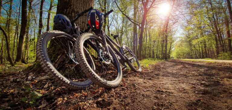 Two mountain bike parked under a tree.