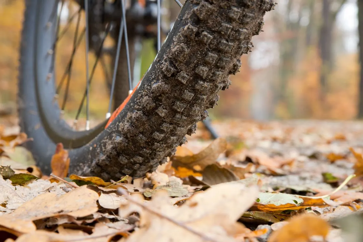 A mountain bike tire with mud and dried leaves.