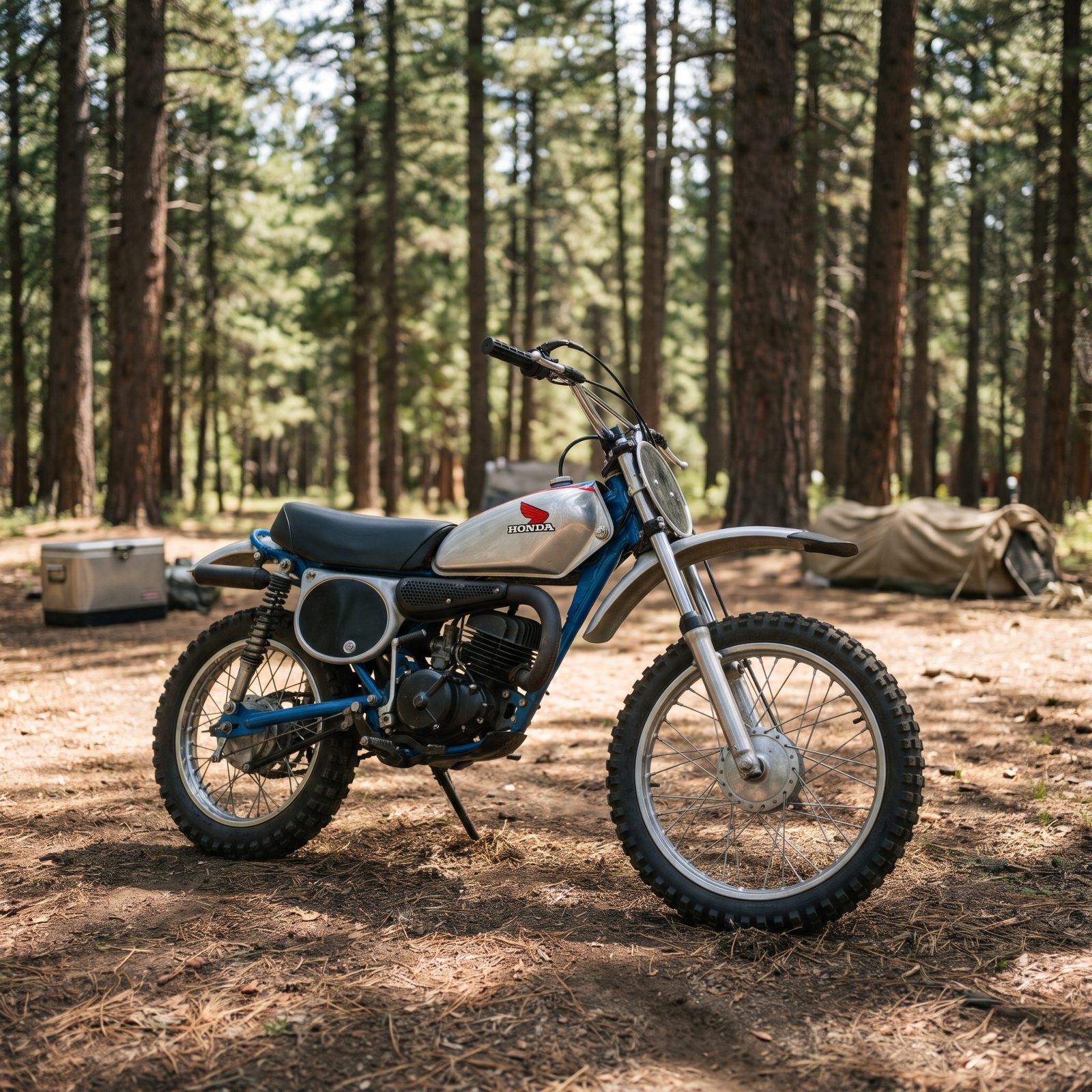 Honda MR50 Elsinore, The Junior Dirt Bike Wearing Racing Colors