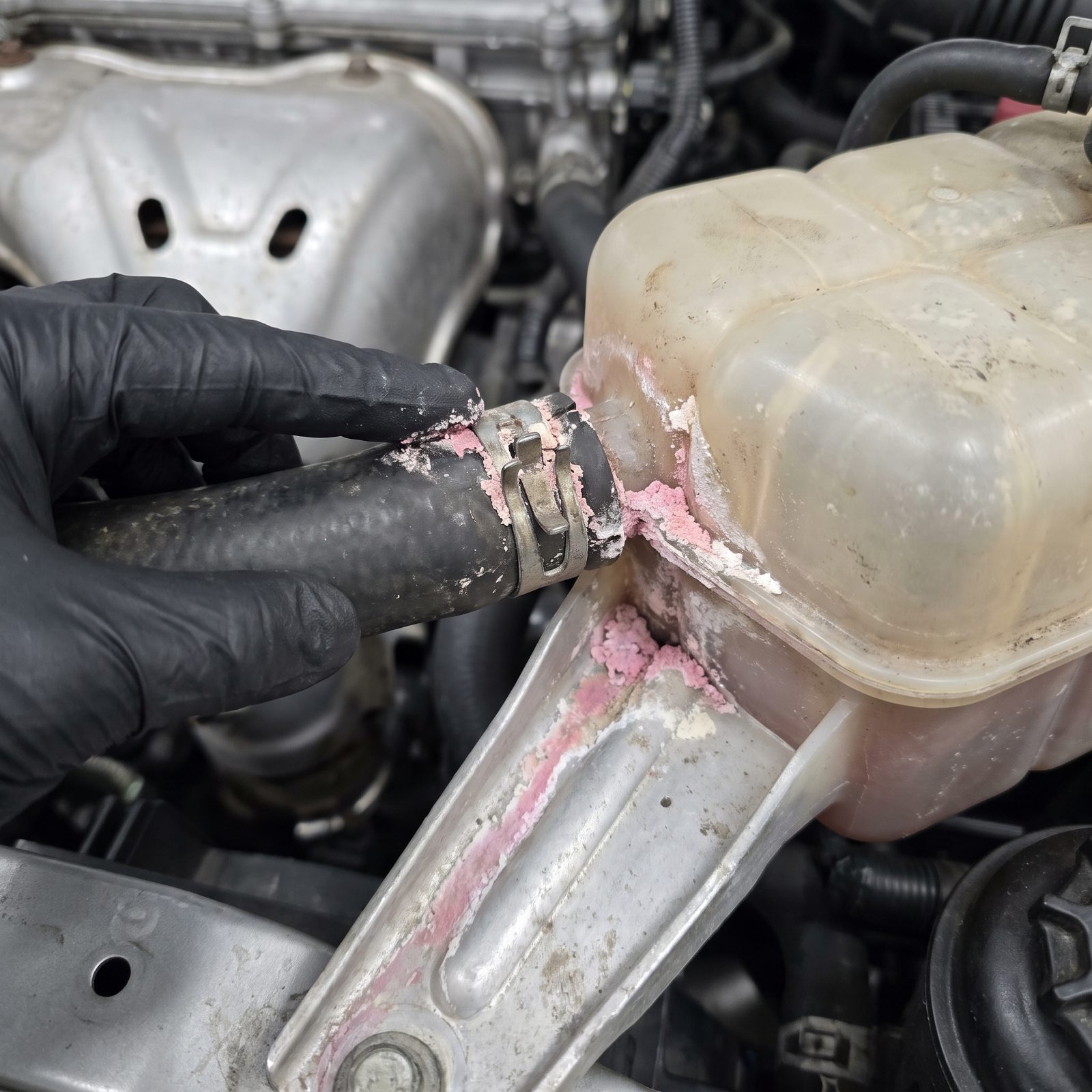 Pink or White Crust Trailing the Cooling System